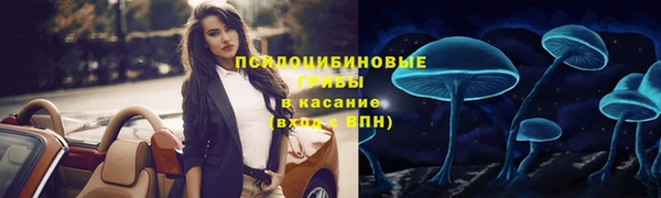 спиды Новокубанск