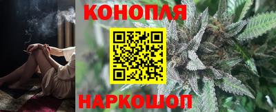 трава Камышлов