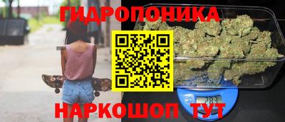 трава Камышлов