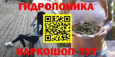 трава Камышлов