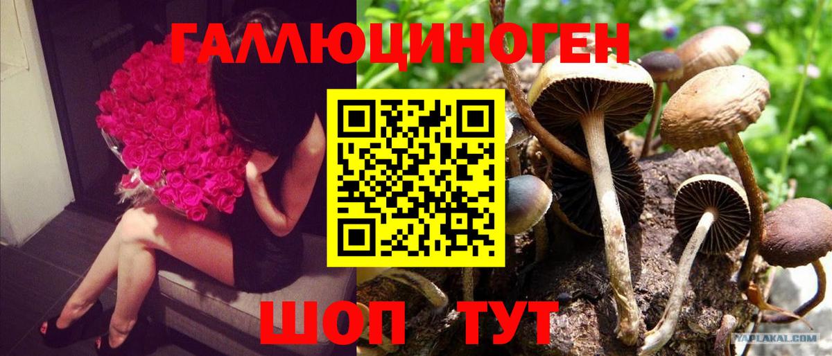 Кондопога  Галлюциногенные грибы GOLDEN TEACHER  Вход с VPN 